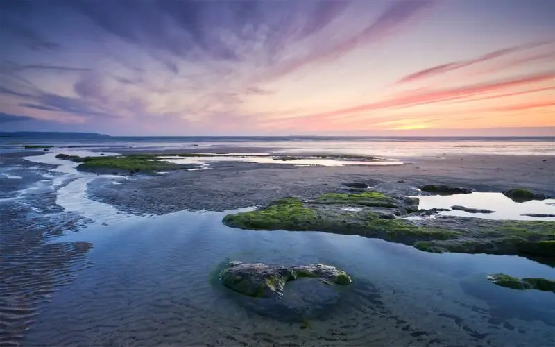 Gearbox transmitter/Smoke wave box Parts for 1/16 Henglong RC Tank Model 5.3 Ver