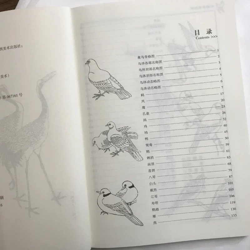Książka o malowaniu ptaków: Poradnik artystyczny, tradycyjne ilustracje ptaków, zdjęcia referencyjne, rysunek liniowy feniksa, paw, orzeł, sroka.