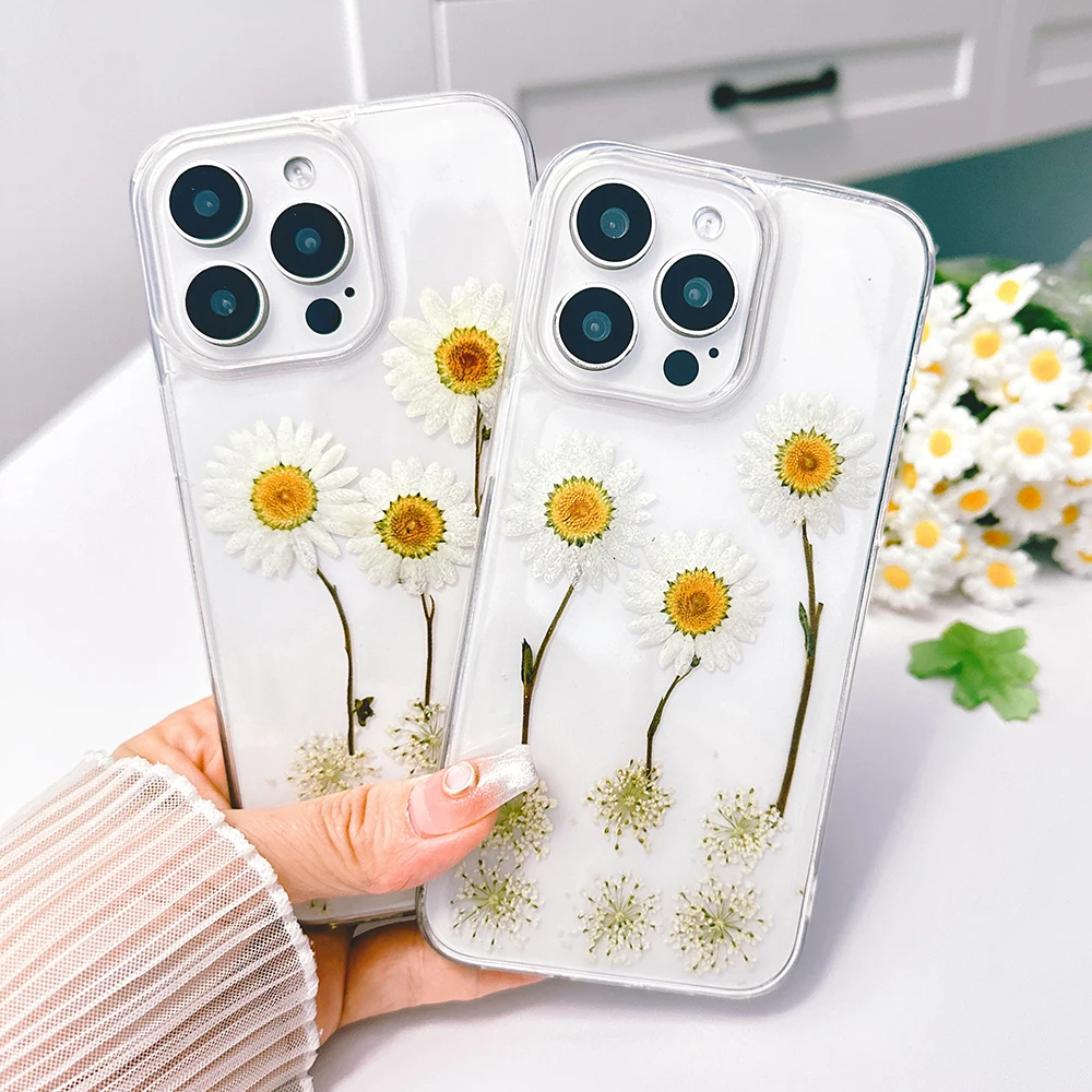 Qianliyao Brief Real Dry Flower Daisy Case For iPhone 16 15 14 13 12 Pro Max  7 8P Phone Case For iphone 11 XR X XS Max Cover