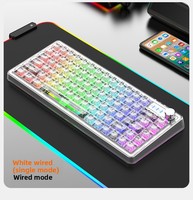 81 Keys Transparent Keycap Mechanical Keyboard Mechanical Crystal RGB Keyboard Hot Swappable Rechargeable For Video Games