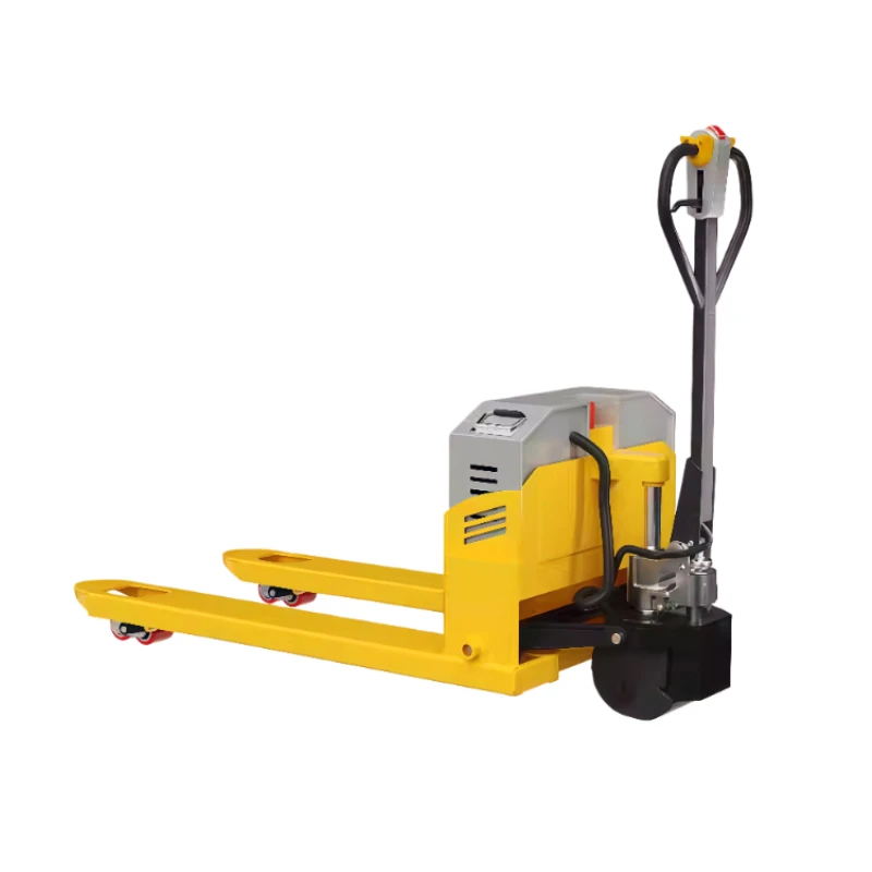 

1 Ton 48V Electric Standing Forklift Truck Manual Operation Lithium Battery Hydraulic for Warehouse Heavy Cargo Handling