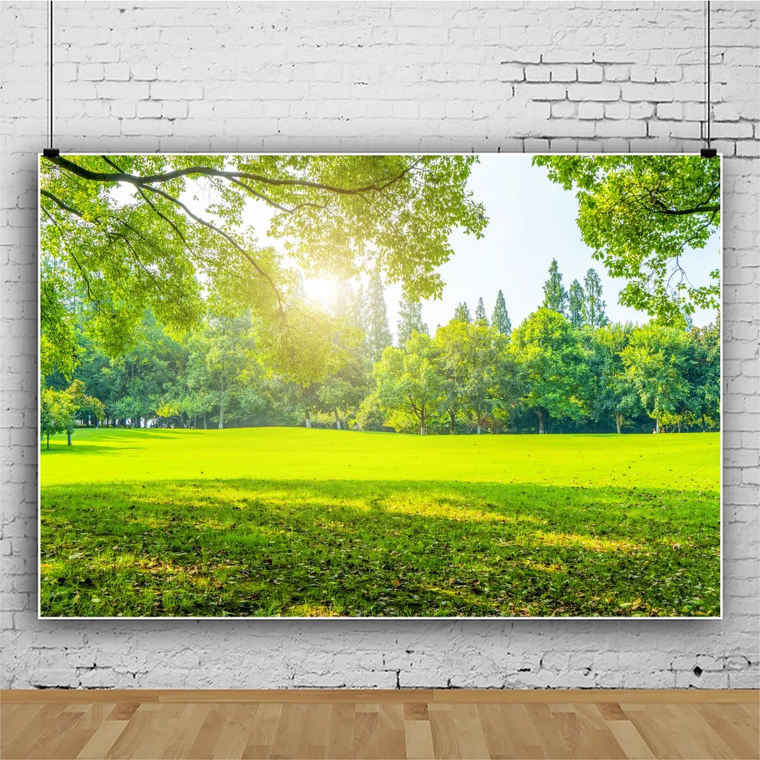 Laeacco-写真の背景,春の写真,屋内用,緑のグラス,写真の背景