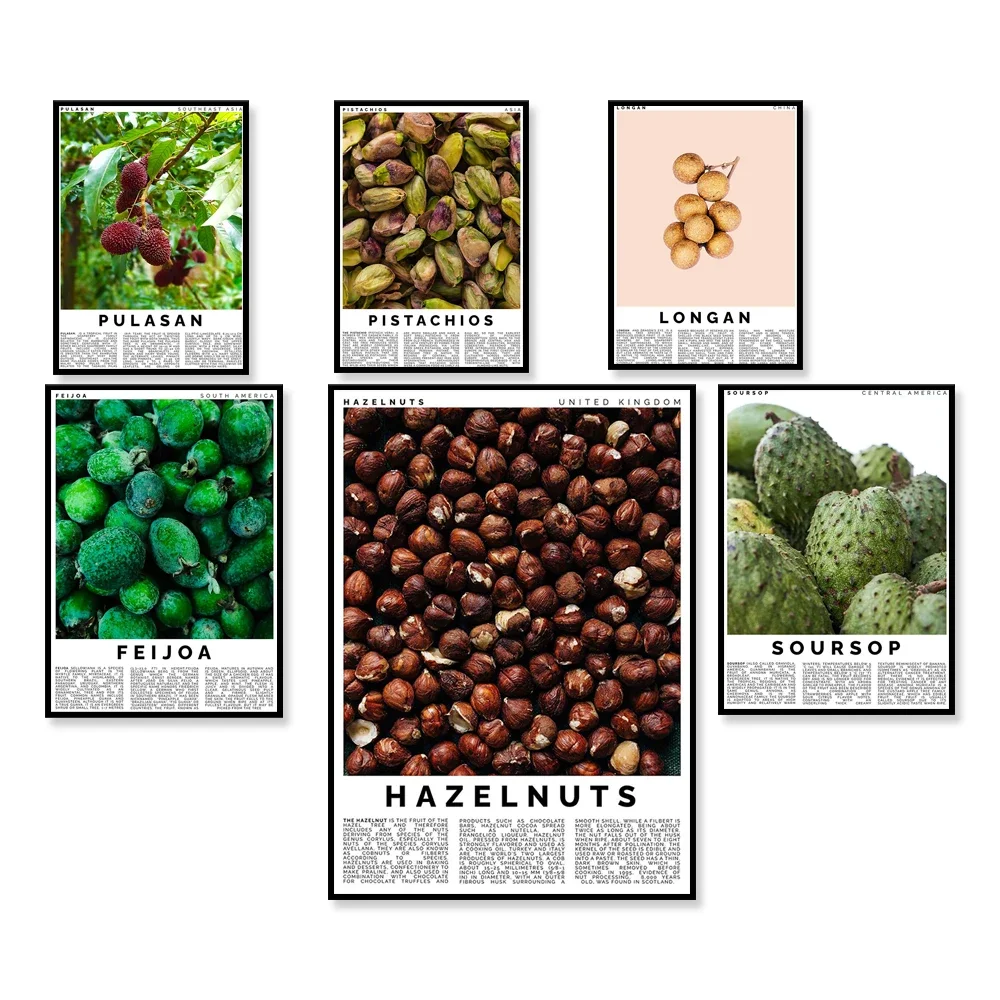 Hazelnut, pistachio, sweet cherry, persimmon, longan, noni, soursop, basan, fruit kitchen art gourmet poster housewarming gift