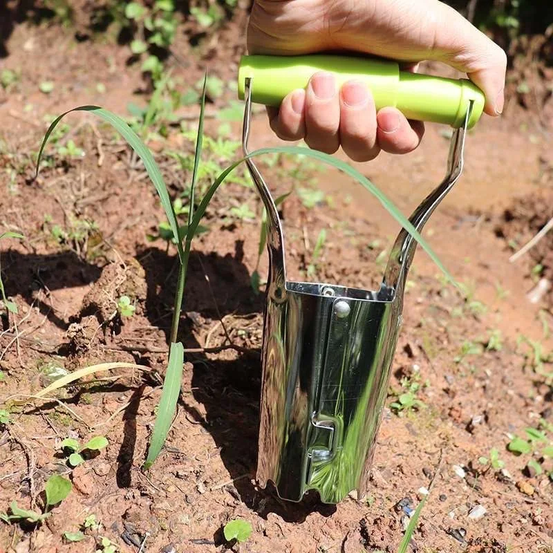 Trasplantador de plántulas con mango, herramienta de jardín portátil para perforar agujeros, plantar flores, semillero de verduras, trasplante, 1 ud.