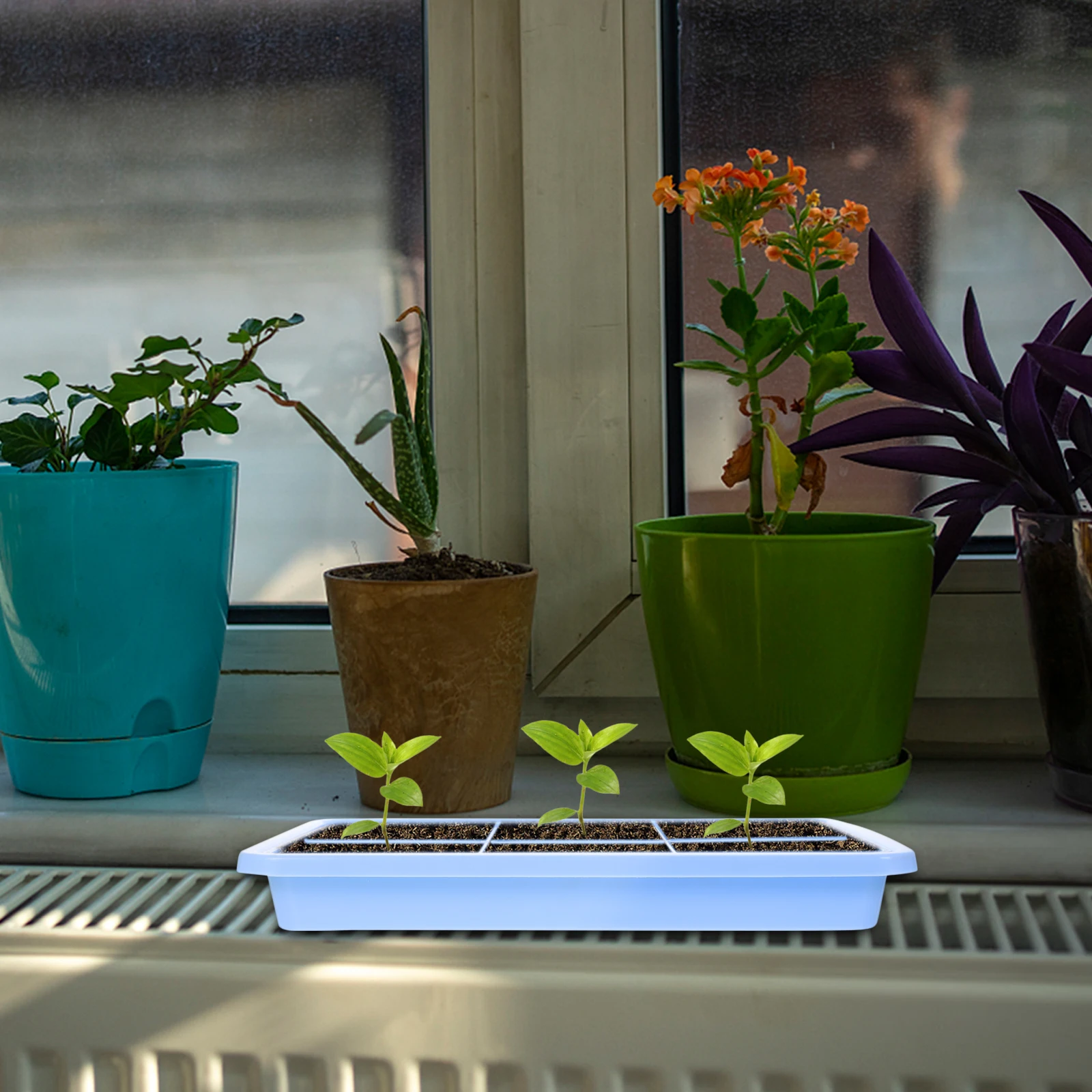 

2 Sets Seedling Tray Sprouts Planting Germination Vegetable hydroponic pot tray Food Grade Safe Durable Reusable Plastic