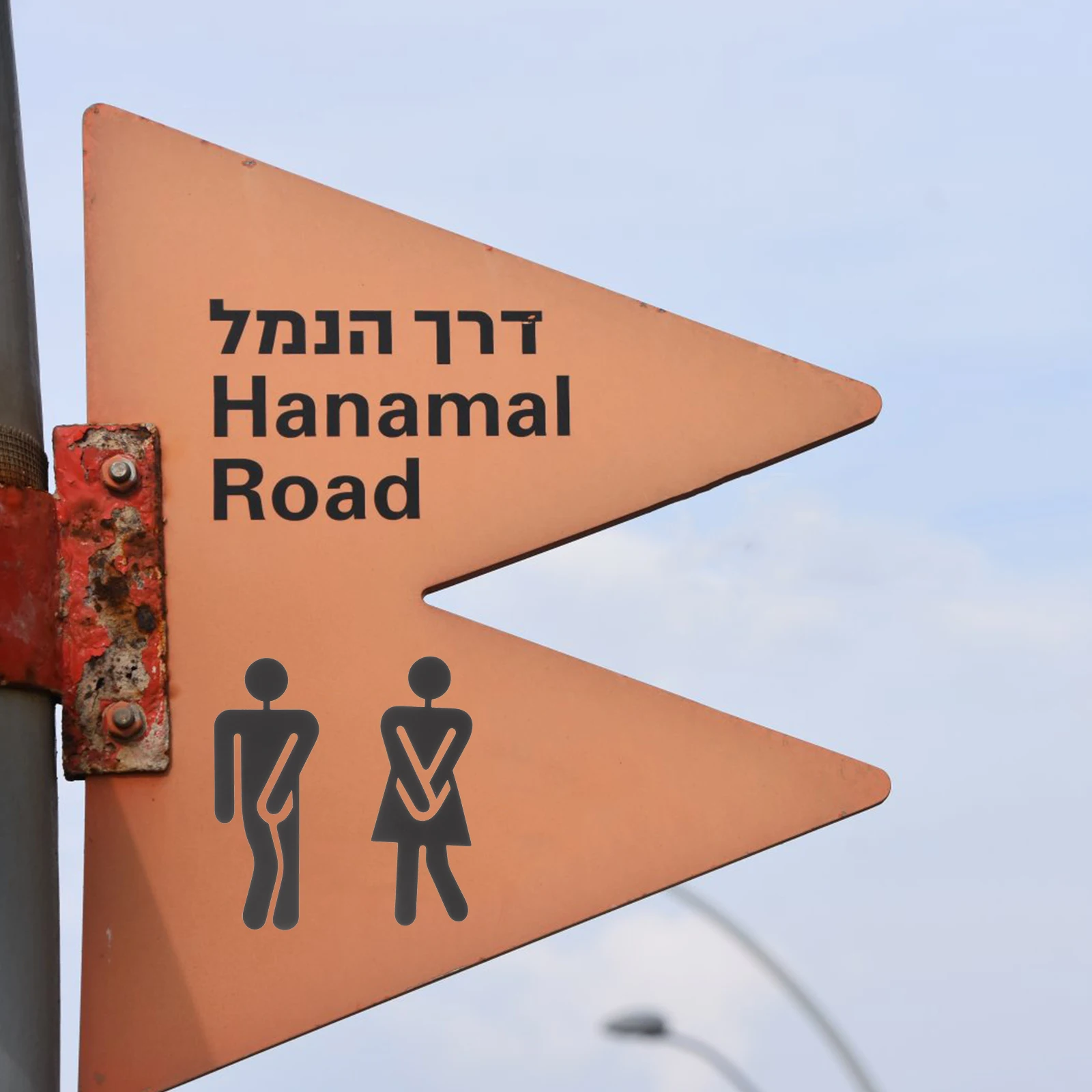 

1Pair Toilet Identification Plate Washroom Sign Lavatory Sign Black Bathroom Accessories Set Easy Use Long Lasting Direction