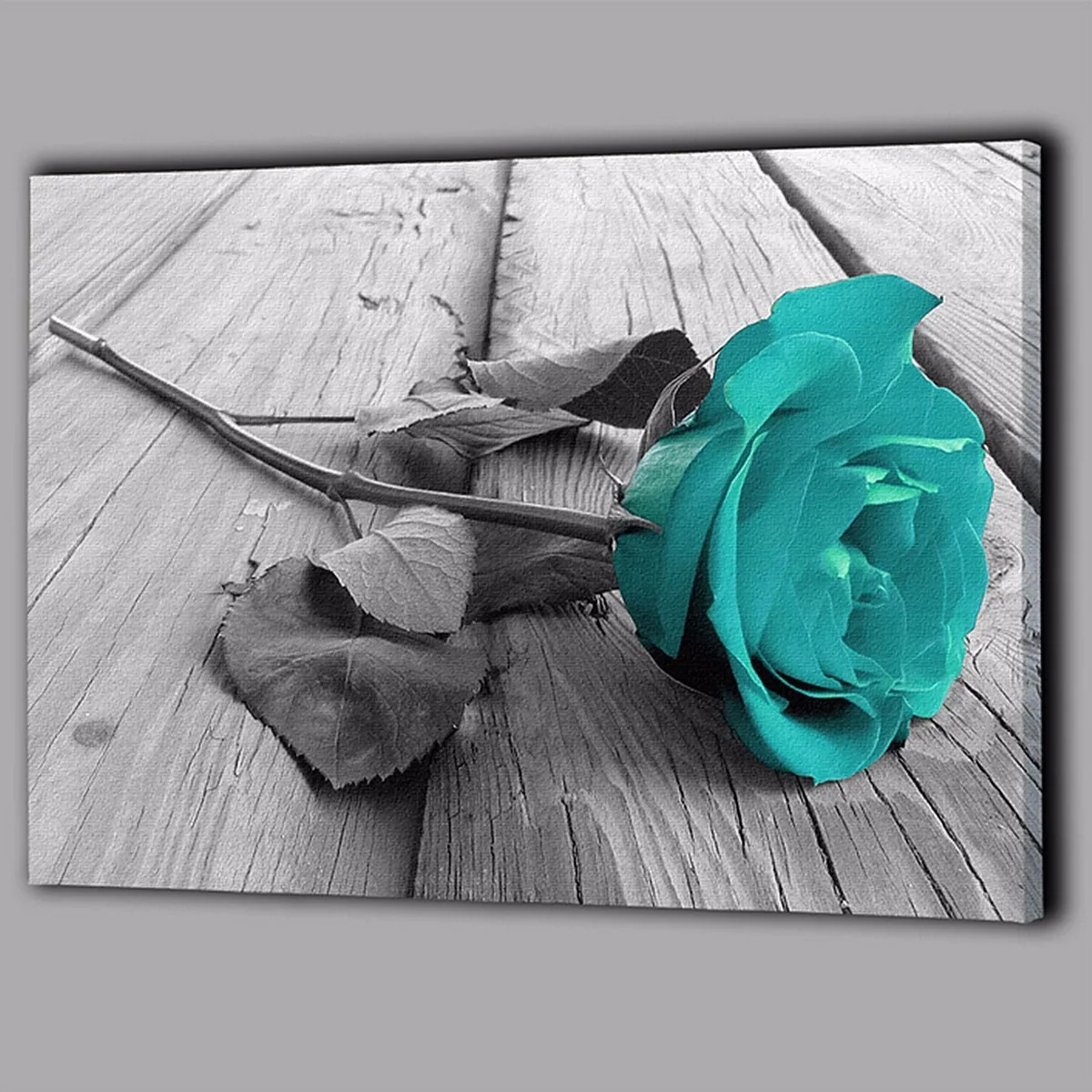 Creative black and white blue-green rose home decoration canvas painting living room sofa background wall corridor painting