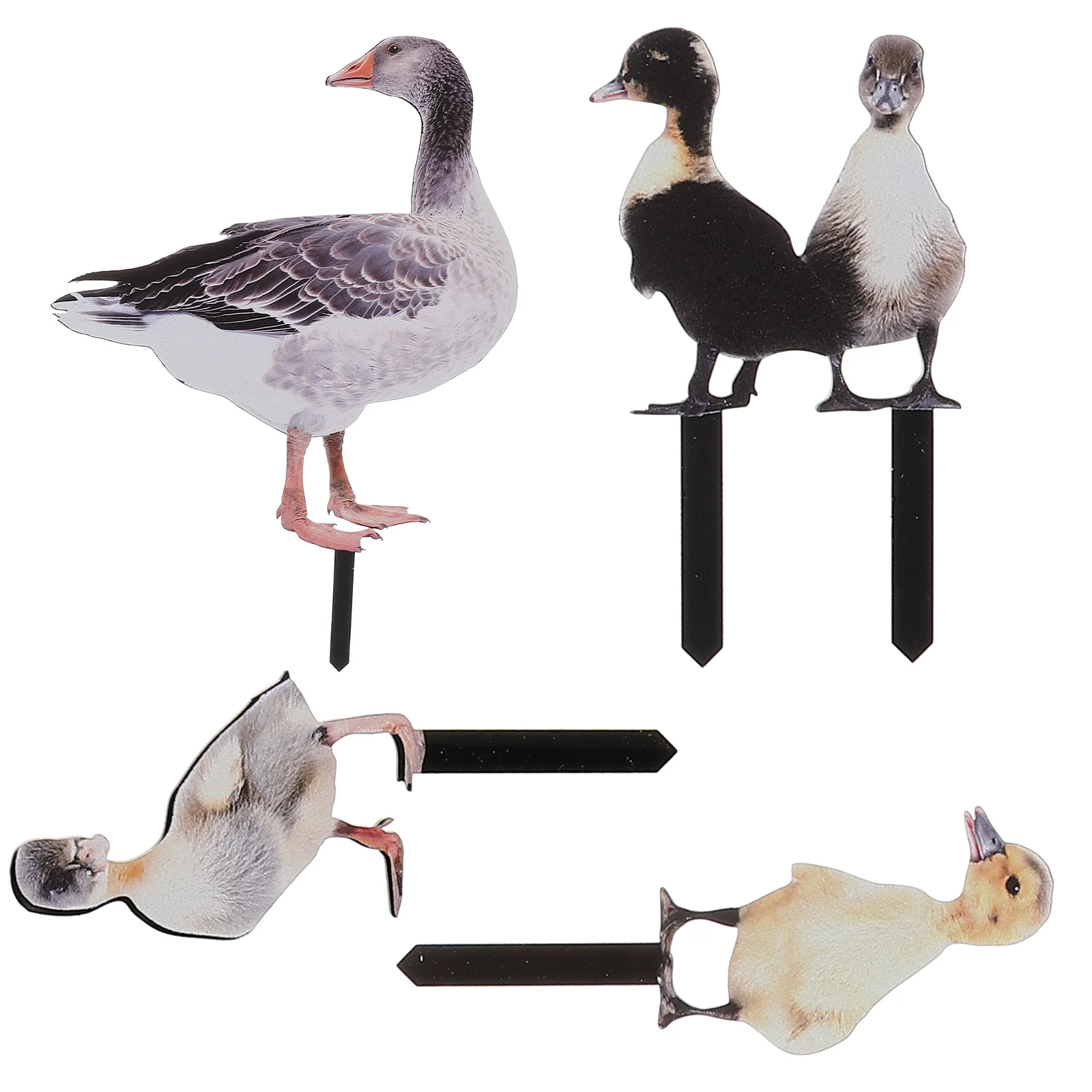 

1 set Garden Ducks Decorative Ornaments Outdoor Yard Garden Decor Art Acrylic Sign Lawn Decoration Duck Statue Sculpture