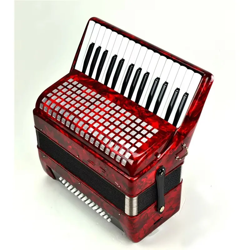 

Hooqu 30 Keys 48 Bass Piano Accordion With Adjustable Straps Gig Bag Musical Instrument For Kids Beginners 22 Keys And 8 Bass