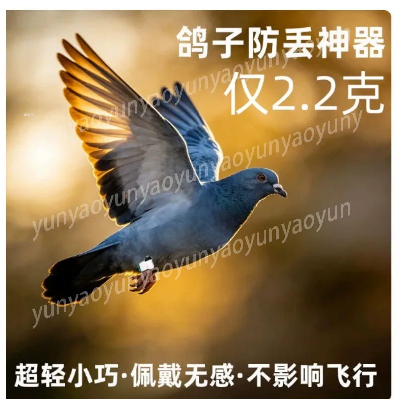 Waterproof Pet GPS Tracker Global Anti Lost Locator for Parrot Pigeon Cat Dog