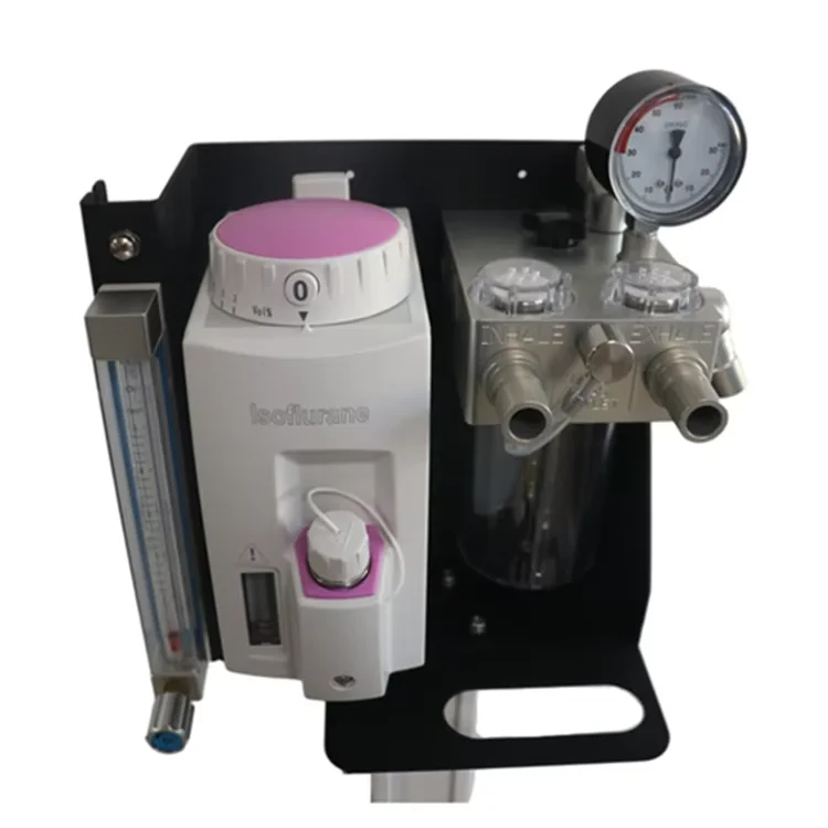 

Wall-Mount Veterinary Anesthesia Machine for Pet Clinic Saving Space Cagemount Vaporizer