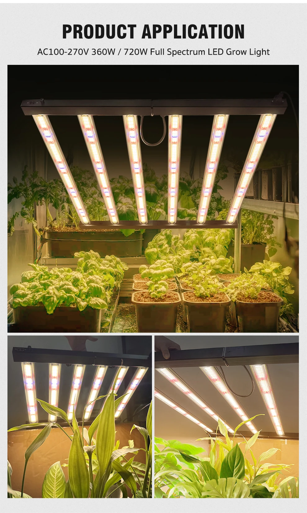 360W 720W LED Pflanzenlampe Vollspektrum Blau 460nm Rot 660nm IR 730nm UV 395nm, 2,7umol/J 1280umol/J/s Hohe PPFD Hanfpflanzenlampe für 4 × 4 5 × 5FT Zelt – Detail 10