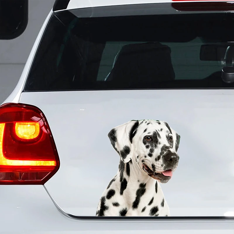 Car Sticker Dalmatian Dog Pet Animal Waterproof Vinyl Decal Car Accessories Decor Pegatinas Para Coche  #V1362