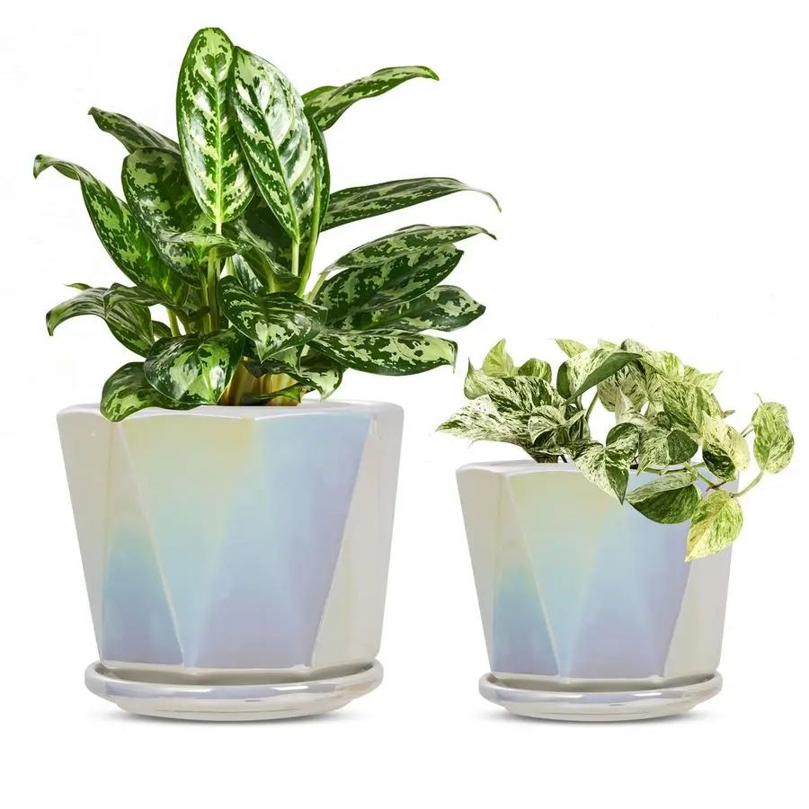 

Iridescent White Ceramic Plant Pots Small planters for Indoor Plants with Drainage Holes and Saucers 2 Planter Pots for I