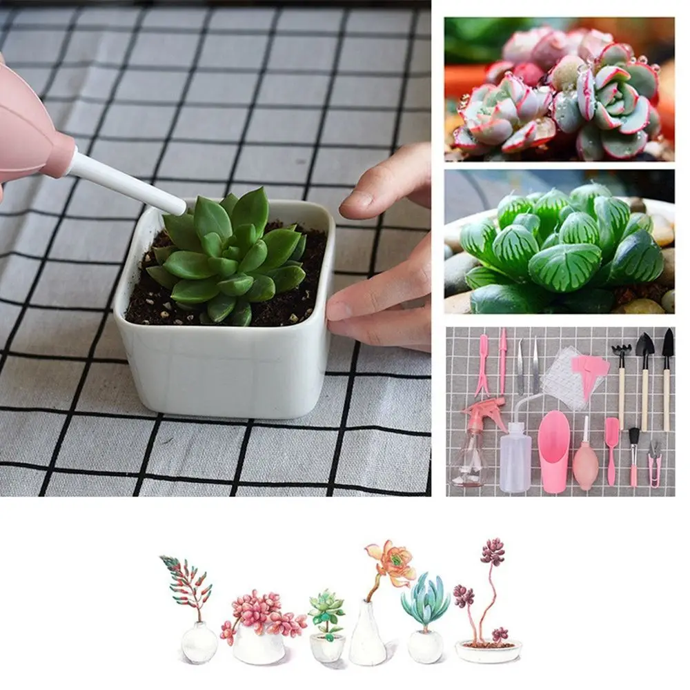 الأسمدة زرع صغير البذر N1N بونساي الشتلات أداة زراعة عصارية جهاز الحفر حديقة زارع عدة #2