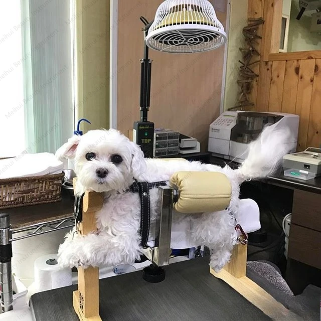 الوخز بالإبر والكى السرير الحيوان باودينغ رف تعادل تربية الرف مشلول الكلب حقن إعادة التأهيل العصب