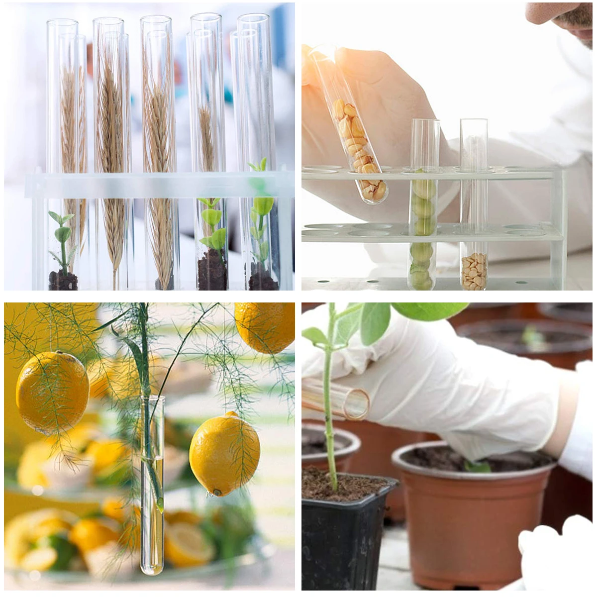 

10pcs Glass Test Tubes Craft Bottles Flat Bottom Heat Resistant Scientific Container Storage Vase Decorative Mini Bottle With