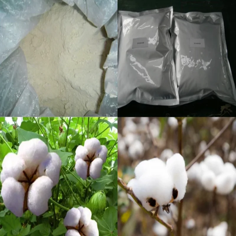 Defoliation Dropp Thidiazuron TDZ Agrochemical Thidiazuron plant growth booster thidiazuron