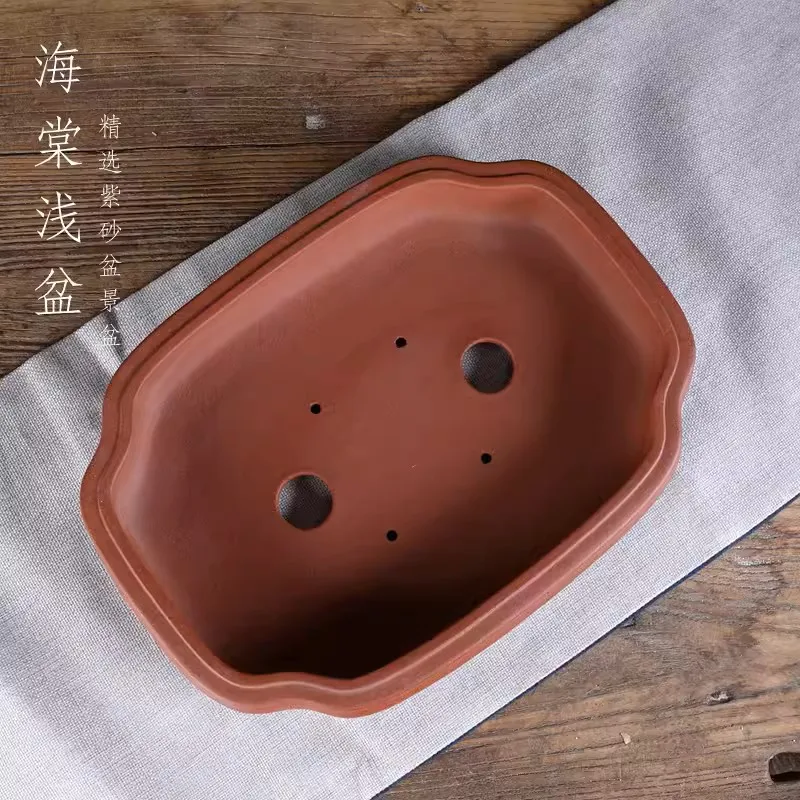 

Purple Sand Oval Bonsai Pot Big Plate Vase Tradition Chinese Shape Carved Home Room Desk Table Garden Decoration