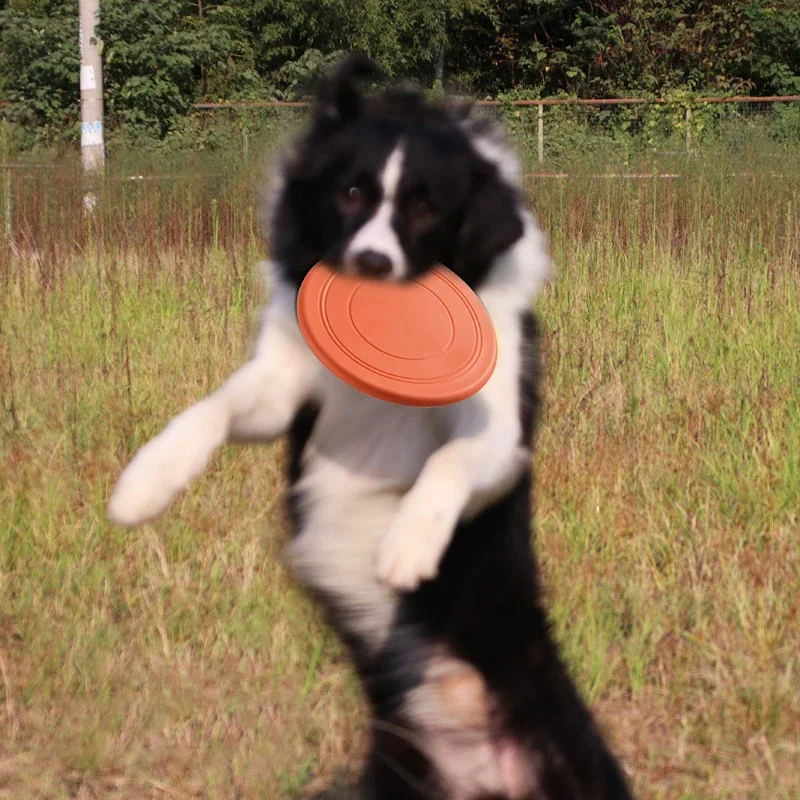 Dog Flying Discs Silicone Flying Saucer Dog Toy Dog Game Flying Discs Resistant Chew Puppy Training Interactive Pet Supplies