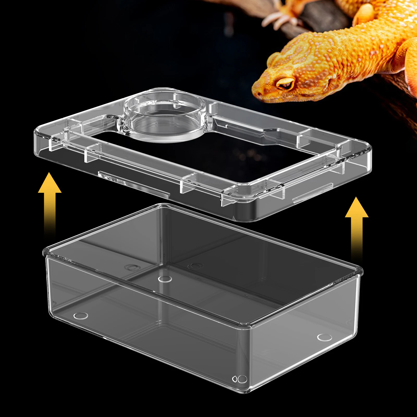 Thumbnail 3 - #35 Compare Reptile Water Bowls Before You Buy