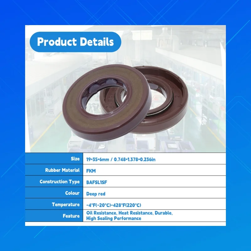 

DMHUI BAFSL1SF FKM Oil Seal 19x35x6mm High Temperature Resistant Fit for Hydraulic Pump Motor Rotary Shaft Seal