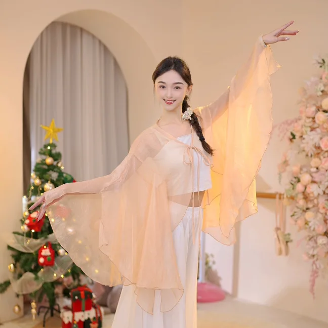 زي الرقص الكلاسيكي للمعلمات أنيق من الشاش للكبار فضفاض خرافي ترفرف على الطراز الوطني زي رقص شال علوي