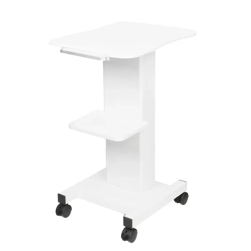 Professional Mobile Beauty Cart Stand Up ABS Trolley For Salon Hospital Equipment Storage Organizer With Wheels Durable