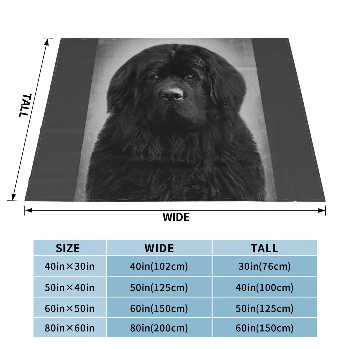 Newfoundland dog - BW Vintage - D48 Throw Blanket Moving Blanket Blankets for babies