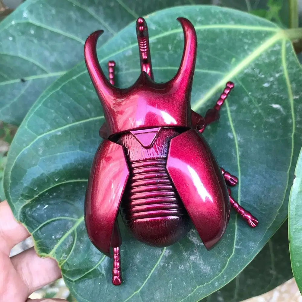 Wind Up Beetle Model Toys Fake Realistic Insect Figures Collection Clockwork Toy Science Educational Learning Toys for Kids