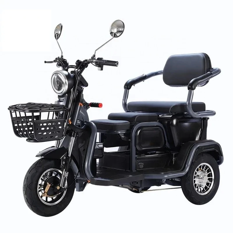 

Popular 600W Carbon Steel Motor 3-Wheel Electric Tricycle
