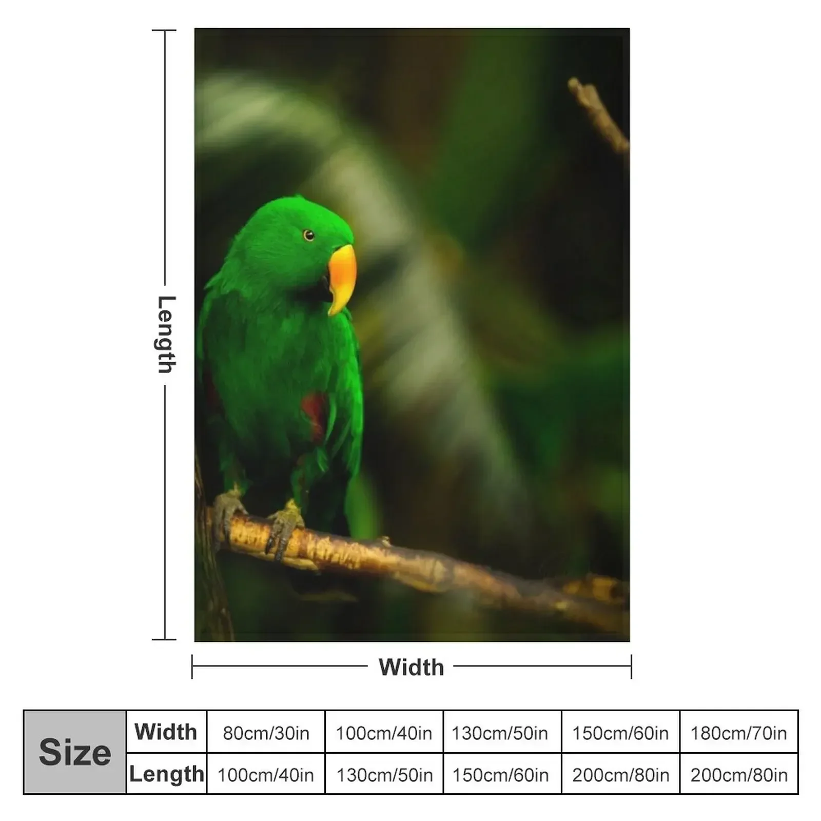 Exotic Bird Green Parrot Eclectus male Throw Blanket couch cozy soft plush fuzzy picnic outdoor blanket