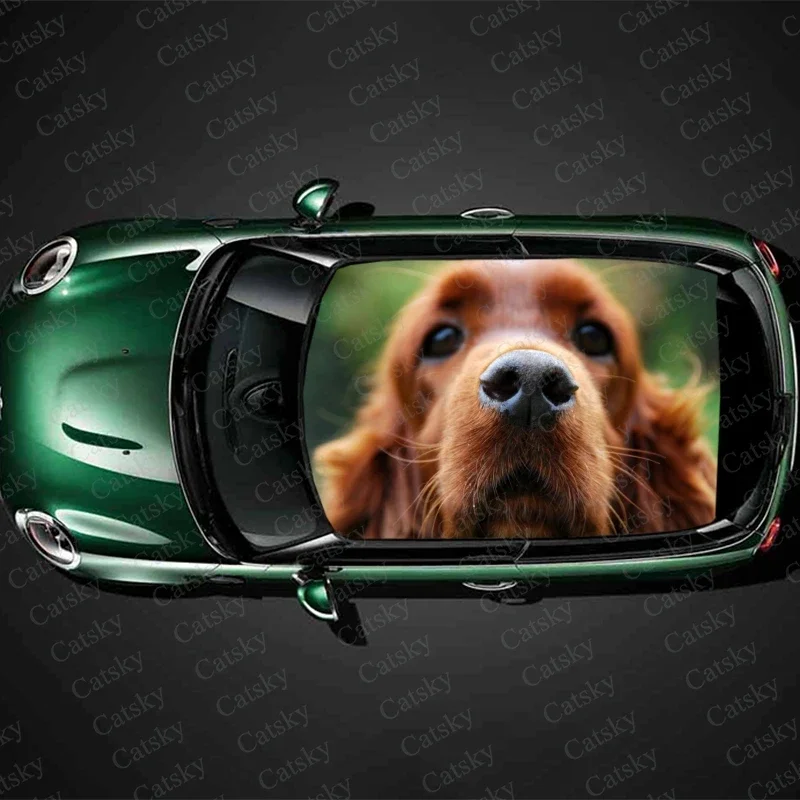 English Cocker Spaniel Car Roof Sticker Decoration Film Car Decal Vinyl Sticker Graphic Wrap Car Body Protect Accessories Gift