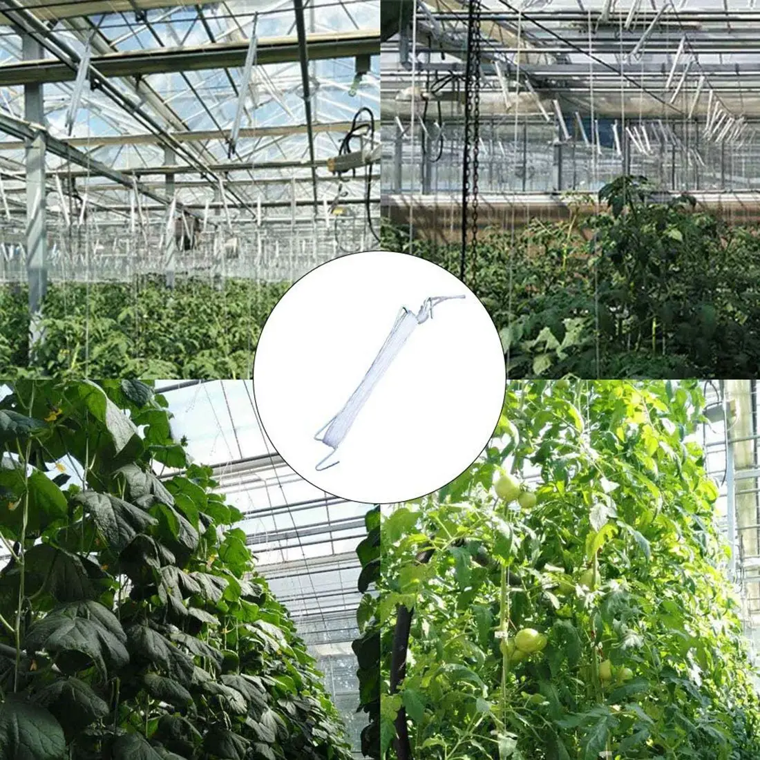 ETRT 10 قطع خطافات الطماطم المعدنية المضادة للسحق خطافات الحديقة خطاف الطماطم النباتية يدعم زراعة الطماطم والكرز ونباتات الكرمة وما إلى ذلك