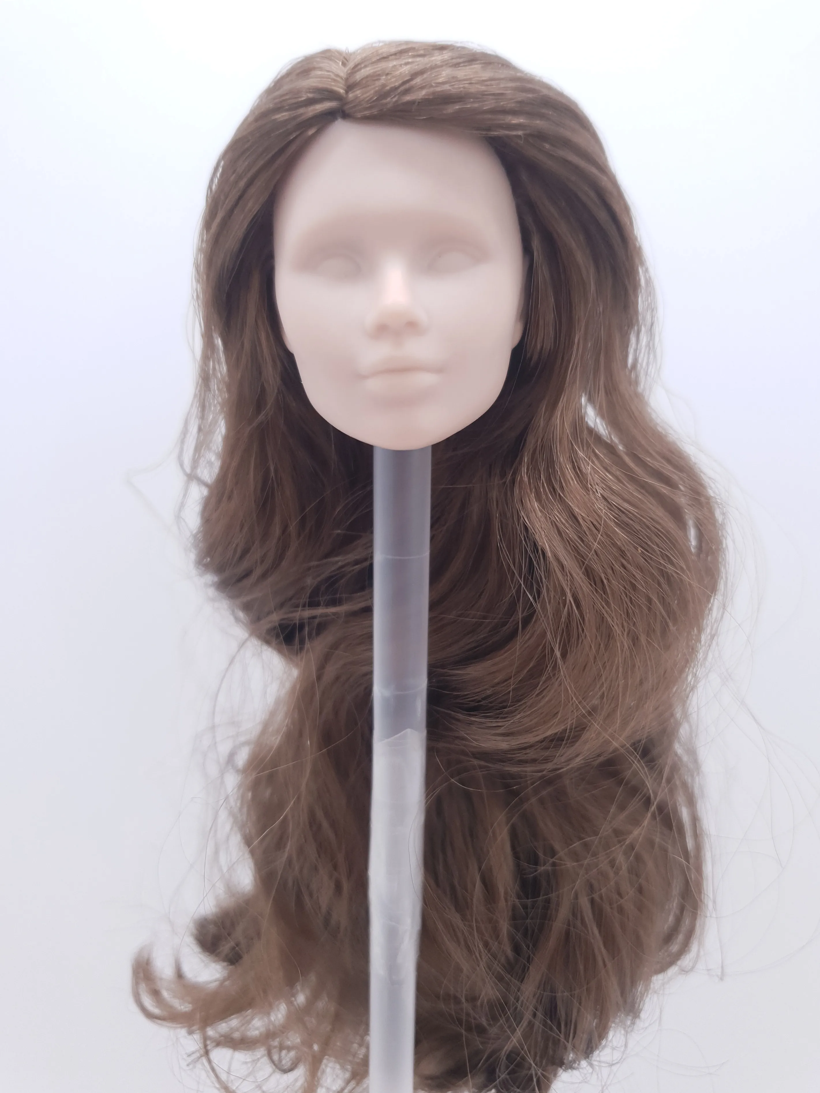 

Fashion Royalty Fabiana Diaz Brown Hair Rerooted Blank Face Integrity 1/6 Scale Female Doll Head