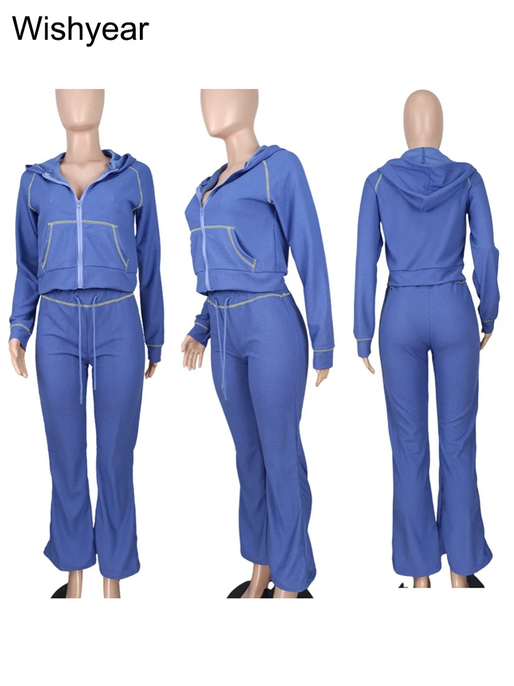 Casual New In Solid Purple Two 2 Pieces Women Long Sleeve Zip-Up Hoodie Jacket Top and Pants Matching Set Fall Street Tracksuits