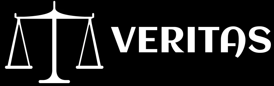 

100 шт., 30x40 см, большие размеры, серые бархатные сумки, подарочные пакеты на шнурке, с трафаретной печатью и белым логотипом, индивидуальный логотип