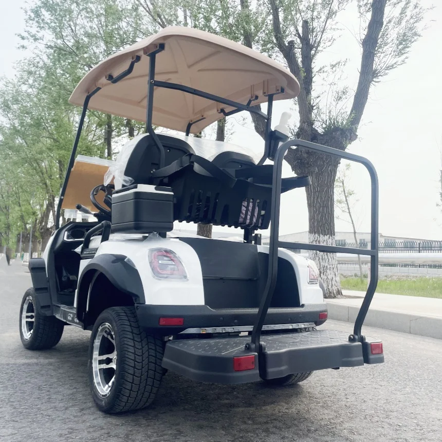 

Street Legal Electric Golf Cart Cheap New Energy Electric Off-Road Vehicle Side Mirror With Turning Light Golf Bag Straps