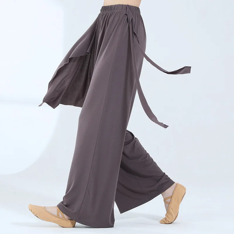 Elegant Ribbon Chinese Dance Pants Women Loose Flowing Chiffon Culottes Practice Wide-Leg Pants Modern Dance Performance Costume