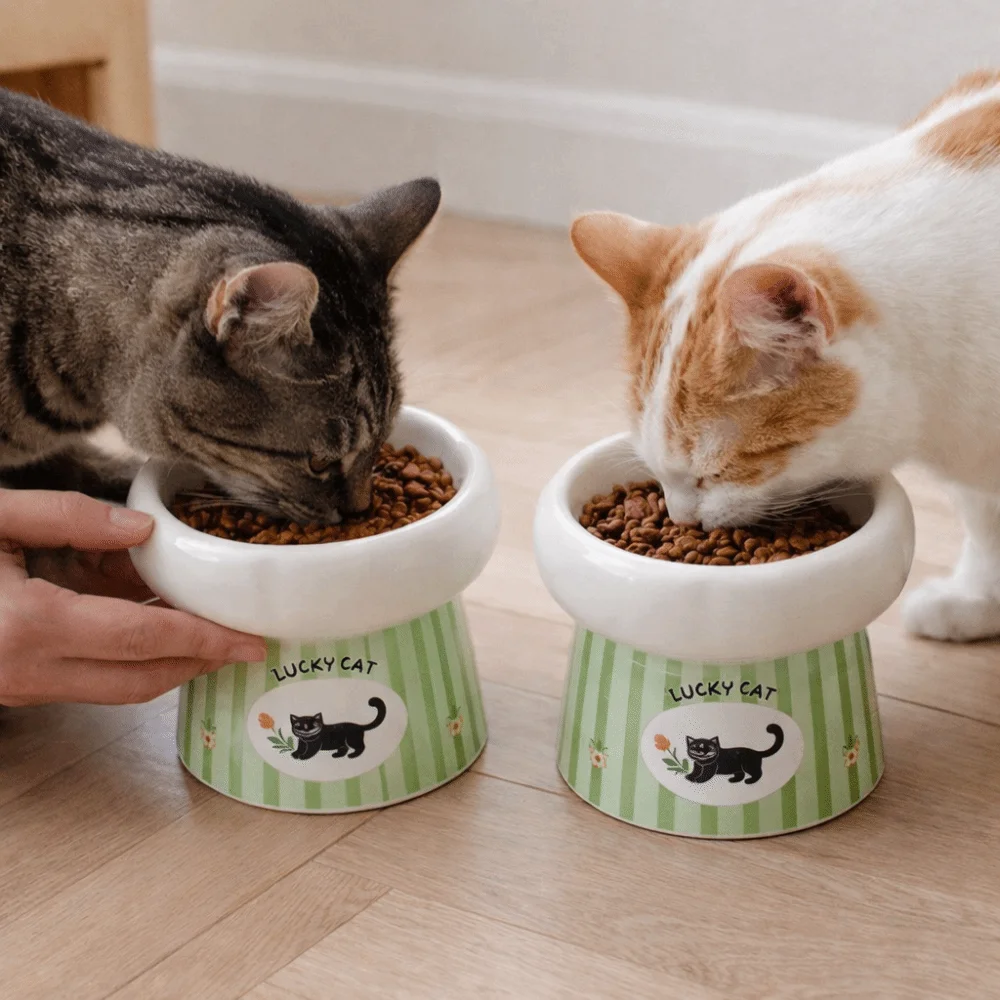 

Керамическая миска для кошек с высокими ножками, широкая горловина, противоскользящая кормушка для корма для собак, противоскользящая основа, предотвращает разливание, повышенная миска для кормления