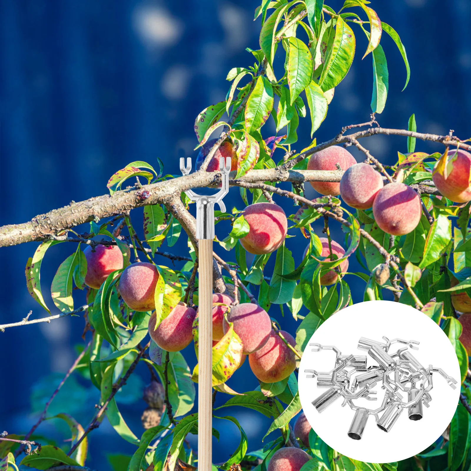 

10 шт. опор для деревьев, усиленные металлические кронштейны для фруктовых деревьев, для наклонных деревьев, для длительного использования на улице
