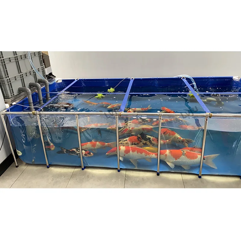 Acuario de peces de decoración de lujo para acuicultura, acuario transparente de acero inoxidable para peces de mascotas para peces Koi/Betta/cachorros