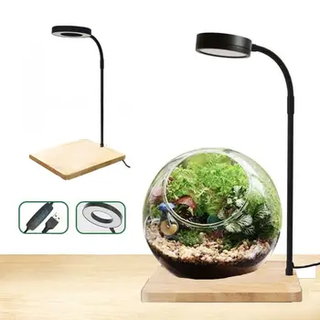 10W Fish Tank LED Lamp with Wood Board Retractable Height Aquarium Landscape Lights…