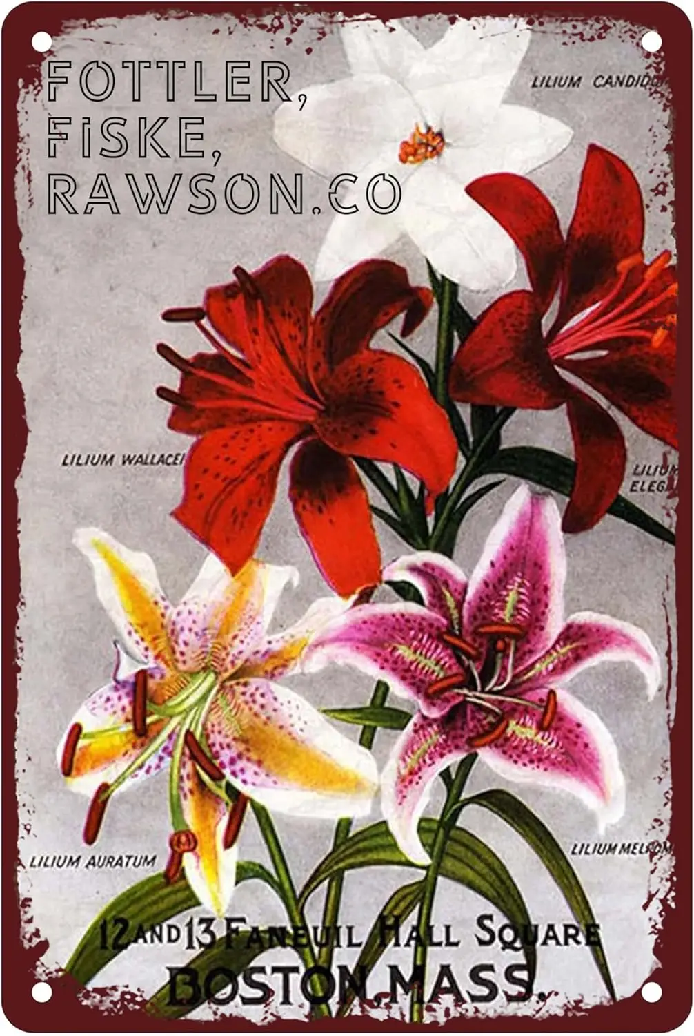 Lily Floral Metal Tin Retro Sign Vintage Flowers Art Plants Kitchen Garden Home Horticulture Wall Decor for Bar Restaurant  sign