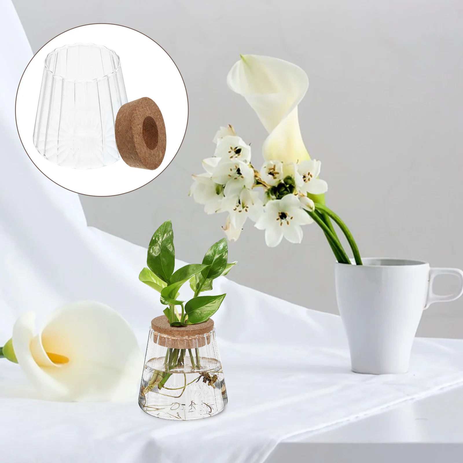 

3Pcs Transparent Hydroponic Plant Vases Compact Glass Tabletop Planter Small Indoor Gardening Propagation Vases for Avocado