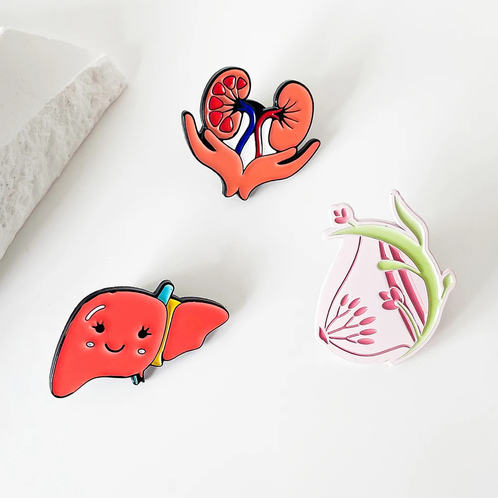 Cute Organ Image Enamel Brooches Liver Kidney Breast Jewelry Accessories Pins Lapel Backpack Coat Badge Gifts for Doctors Nurses