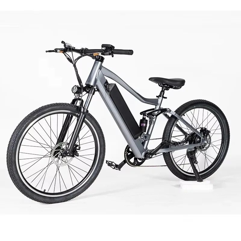 

26-Inch with 48V 20ah Power-Assisted Motor Variable Speed 350W Europe Stocked Electric Bike