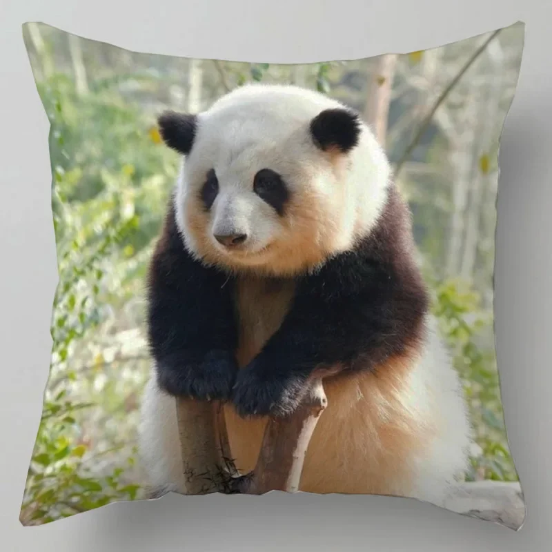 Pillowcase Cute Panda Printed  Square  Bedroom Home Decor Gift