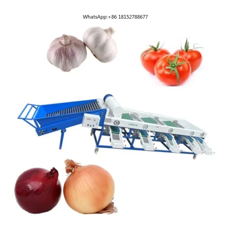 Automatic Fruit and Vegetable Size Sorting Grading Machine Potato Sorting Machine Fruit Dates Sorting Machine