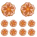PE11616CT